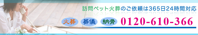 �k�{�s�F��ʔ��