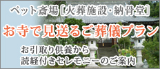 WpybgZj[㗝X